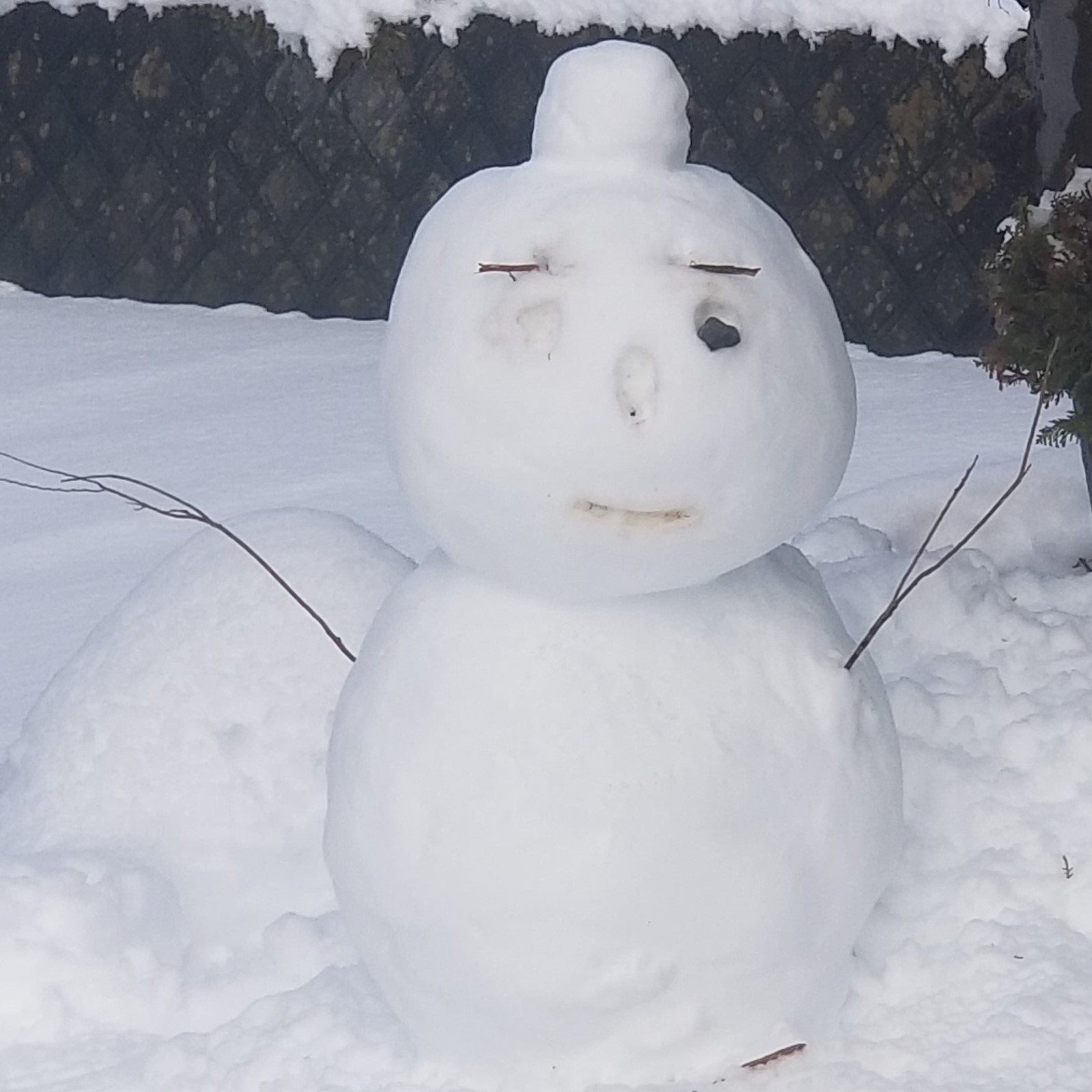 雪だるまが 富士山ステーションホテル 富士急ハイランドまで一駅 富士山観光にも 富士山駅より徒歩2分 バス 電車はもちろん お車でもアクセス抜群の好立地です