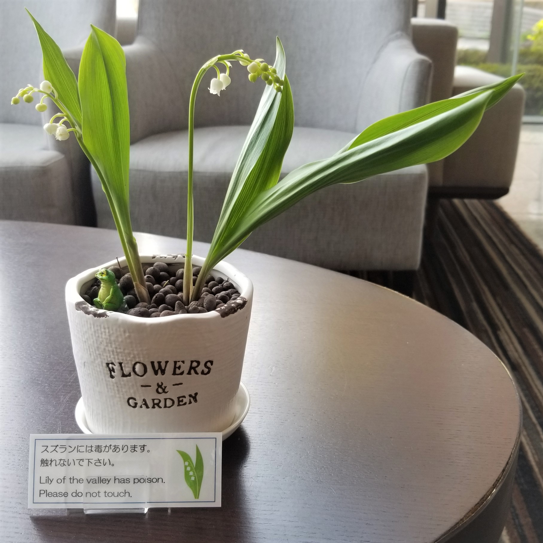 鈴蘭の花とカエルの置物|富士山ステーションホテル | 富士急ハイランド